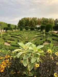 Le jardin du musée Goya