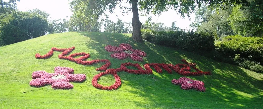 Mazamet in Flowers 2 Chambres d'Hôtes Mazamet La Villa de Mazamet Luxury Bed and Breakfast SW France