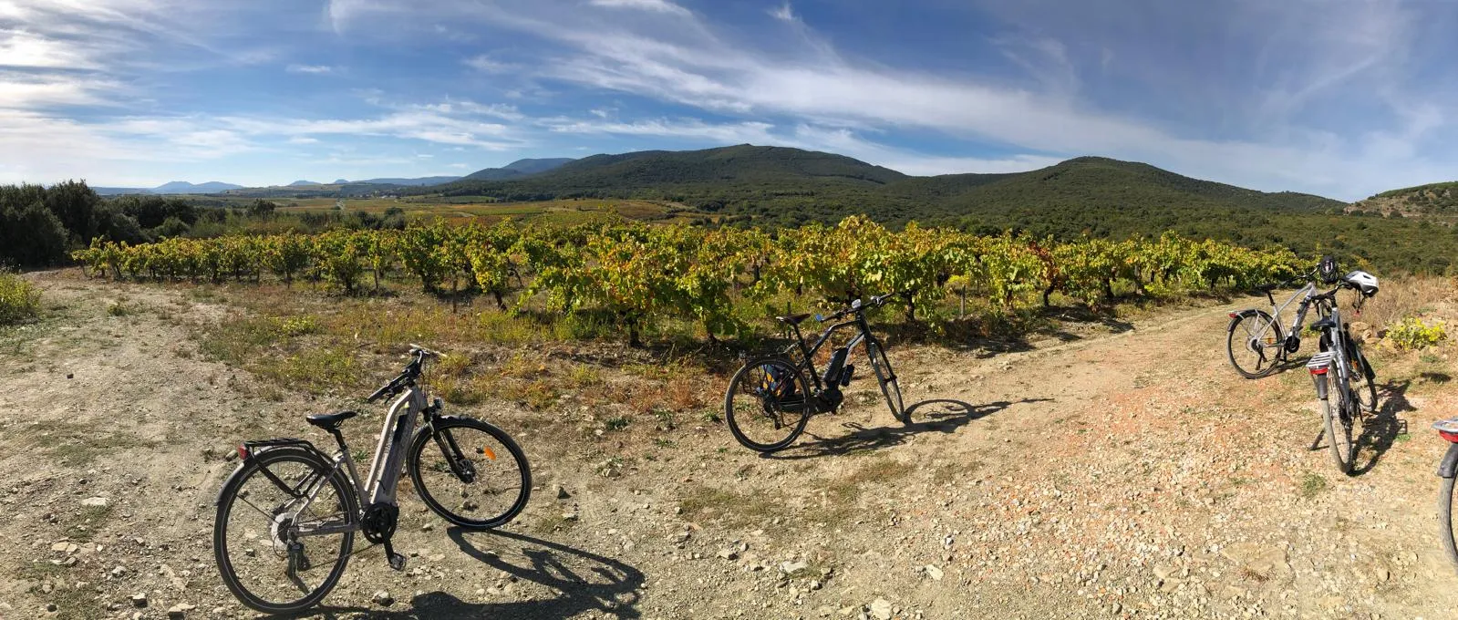 Rent a bicycle and explore the Faugeres vineyards