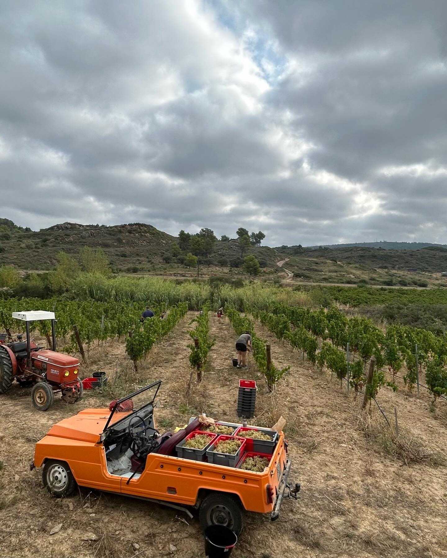 Domaine La Tasque