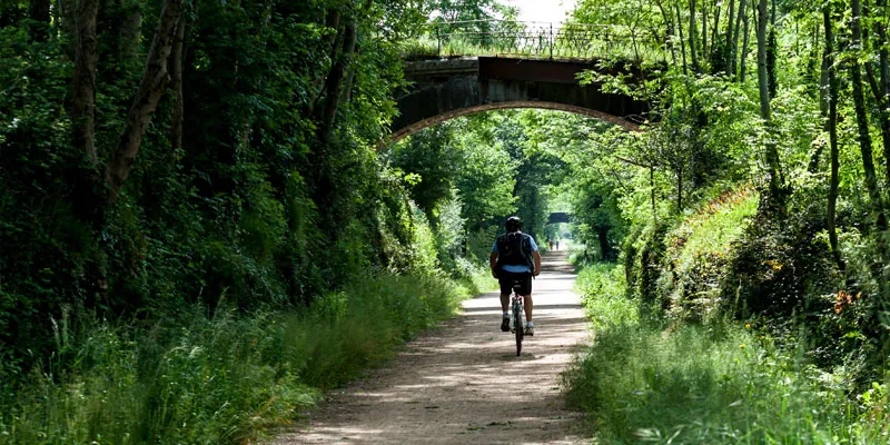 Le cyclisme à Mazamet, c'est aussi la paisible Voie Verte. Local Cycling Chambres d'Hôtes Mazamet La Villa de Mazamet Luxury Bed and Breakfast SW France