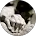 Profile picture of Tony Lam